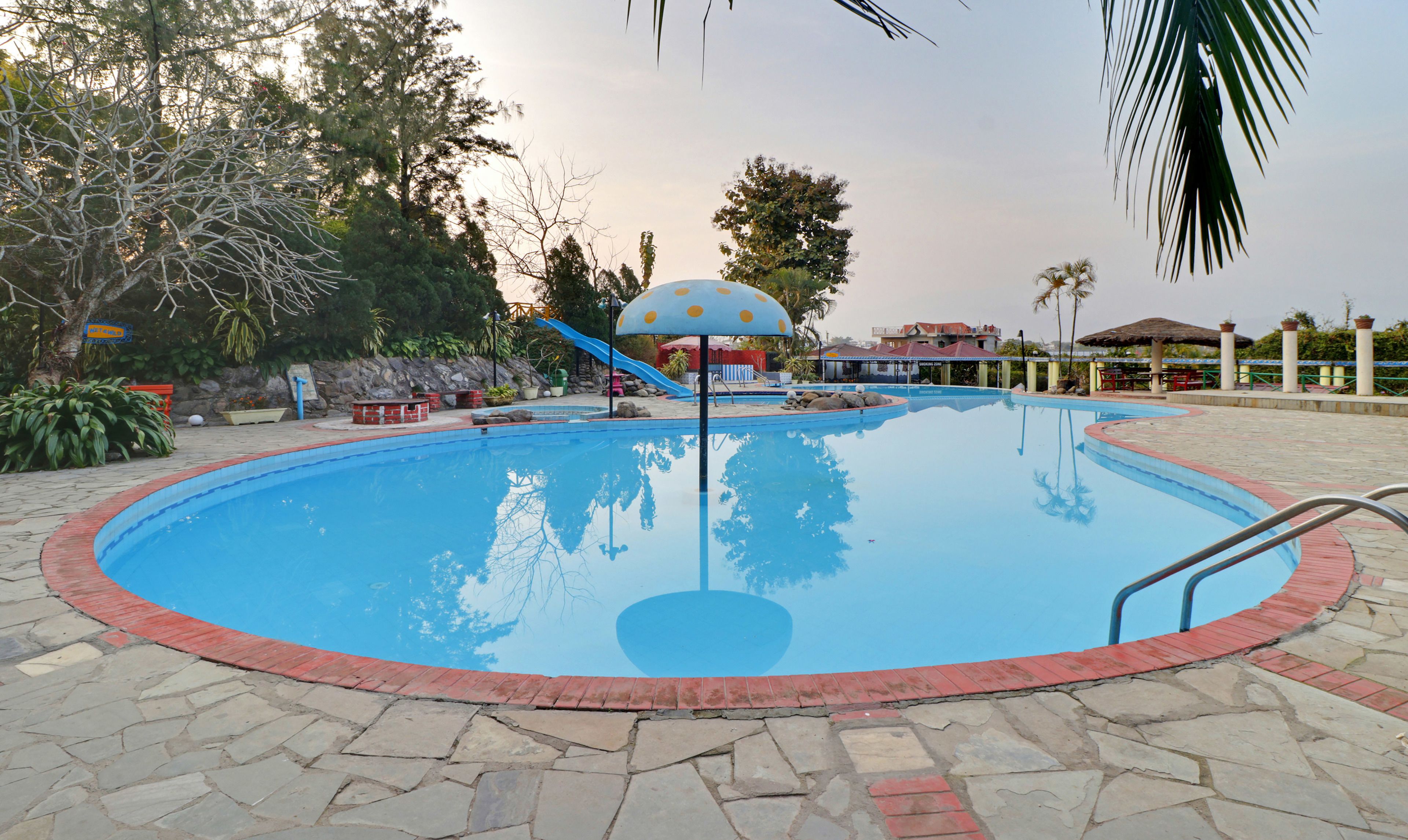 A swimming pool with a red brick border, a slide, and a palm tree in the background.