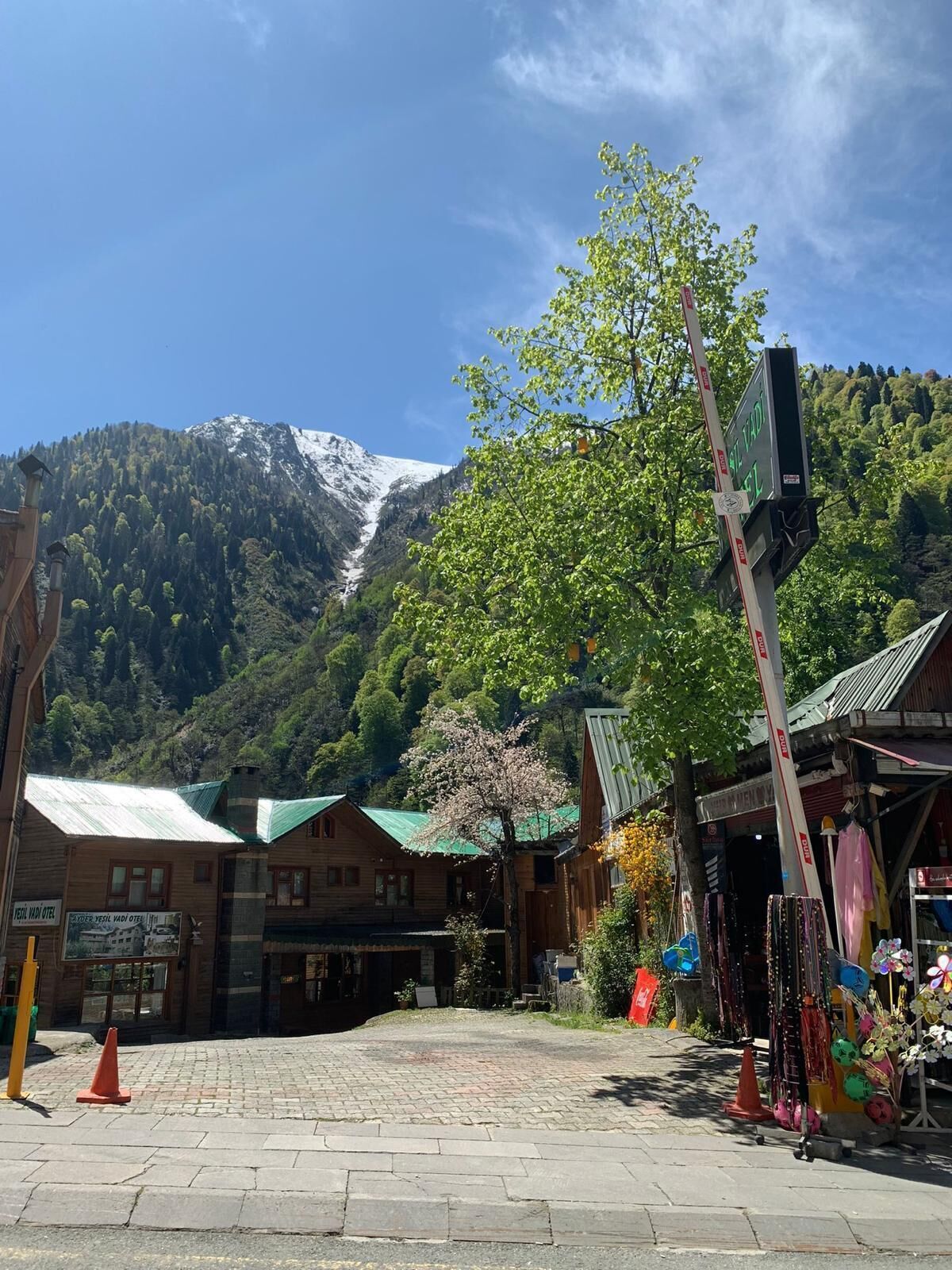 A mountain with a snow-capped peak in the background, a wooden building with a green roof, and a street with shops and a signboard.
