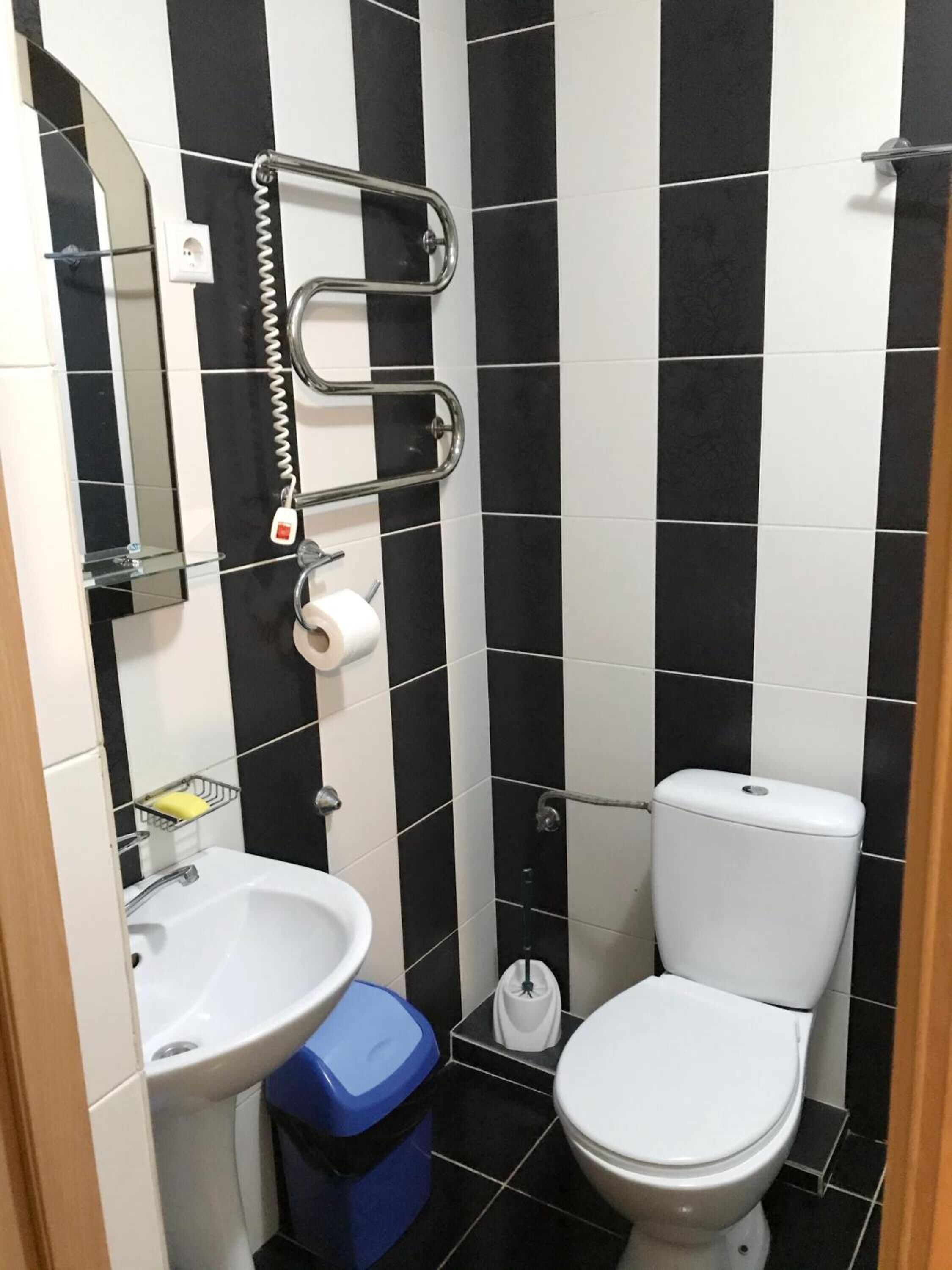 A small bathroom with a white sink, a toilet, and a mirror. There is a towel rack and a trash bin.