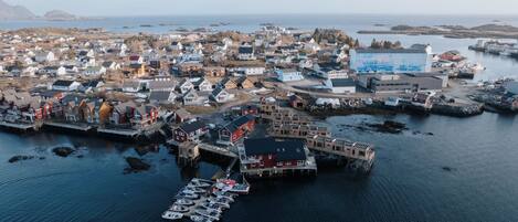 A coastal town with a marina, houses, and a large building with a mural.