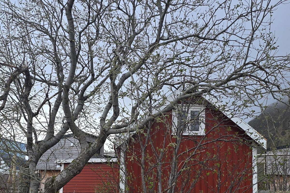 Cottage Tradition | Rideaux occultants, Wi-Fi gratuit, draps fournis
