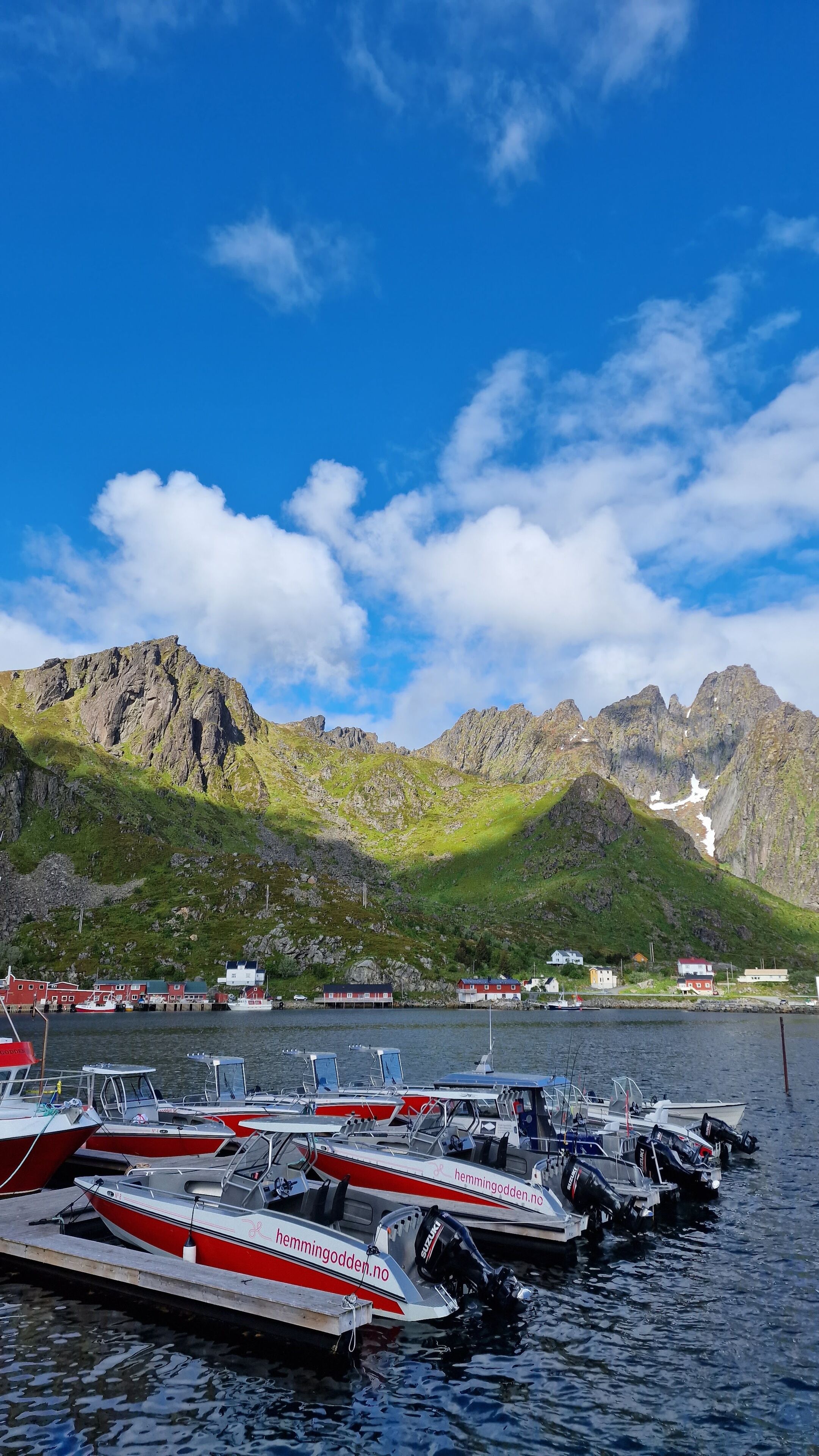 A marina with several boats docked, a mountainous backdrop, and a clear sky.