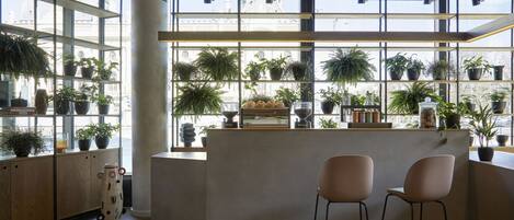 A modern interior with a central counter, two bar stools, and a large window with potted plants.