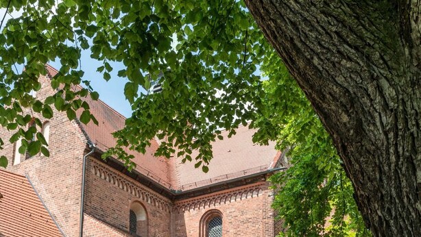 Property grounds - Hotel Markgraf (Kloster Lehnin)