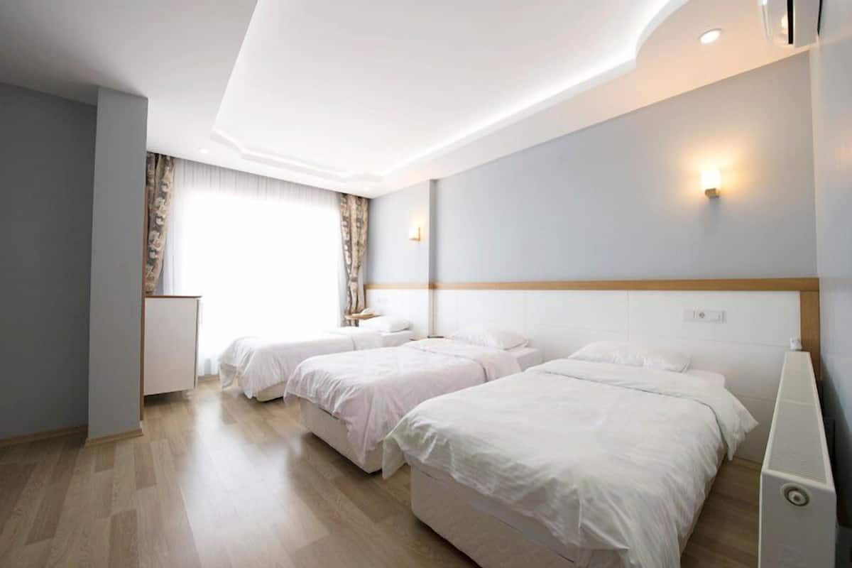 Standard Triple Room, Smoking | In-room safe, desk, soundproofing, free cribs/infant beds