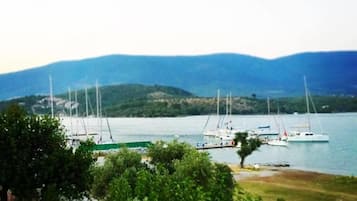 Vista desde la propiedad