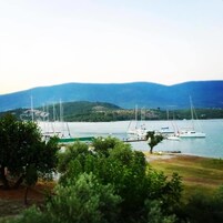 Vista desde la propiedad