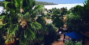 View from property - Baharin Bahce Pansiyon (Milas)