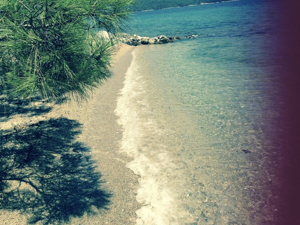 Free beach shuttle, sun loungers, beach umbrellas, kayaking - Baharin Bahce Pansiyon (Milas)