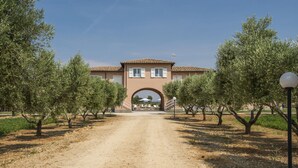 A building with a central archway, surrounded by rows of trees. - Villa Marina Velca (Tarquinia)