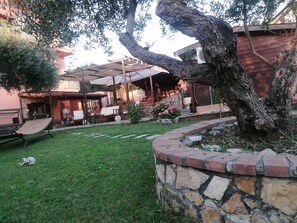 Exterior - B&B Marino (Grisolia)