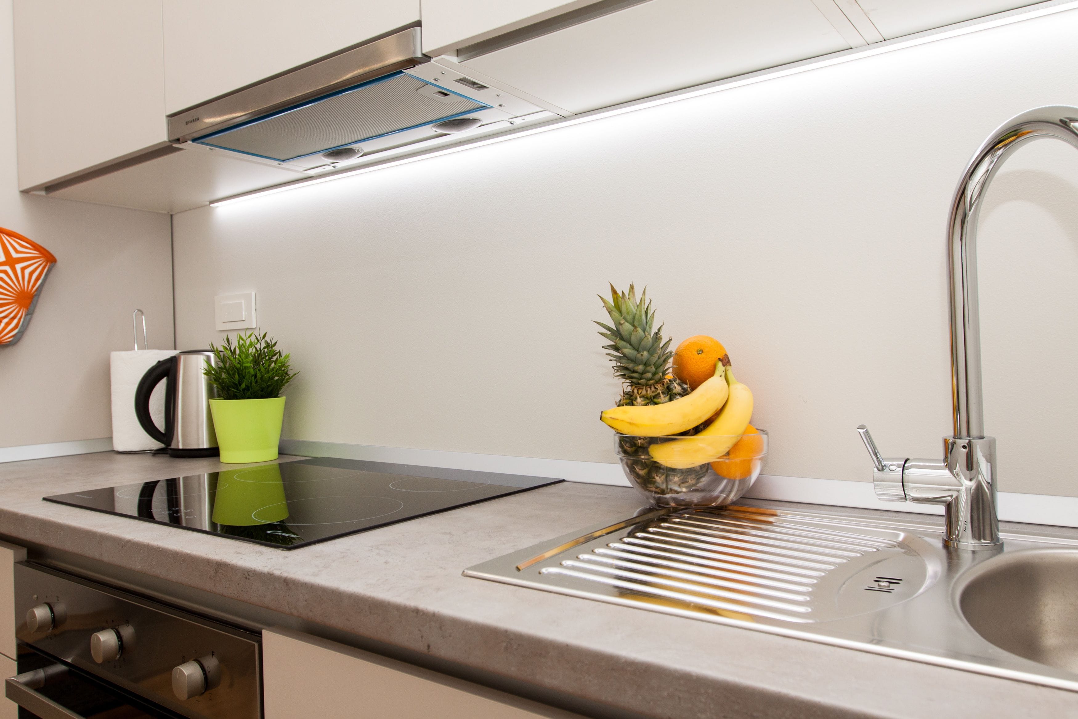 A modern kitchen with a stainless steel sink, a black induction cooktop, and a potted plant.