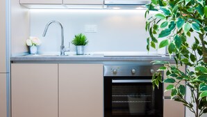 A modern kitchen with a stainless steel sink, a built-in oven, and a potted plant. - Luxury Main Square Apartments (Zagreb)