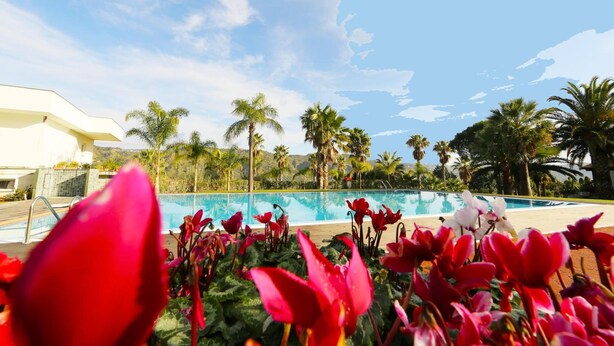 A pool area with palm trees and red flowers in the foreground.