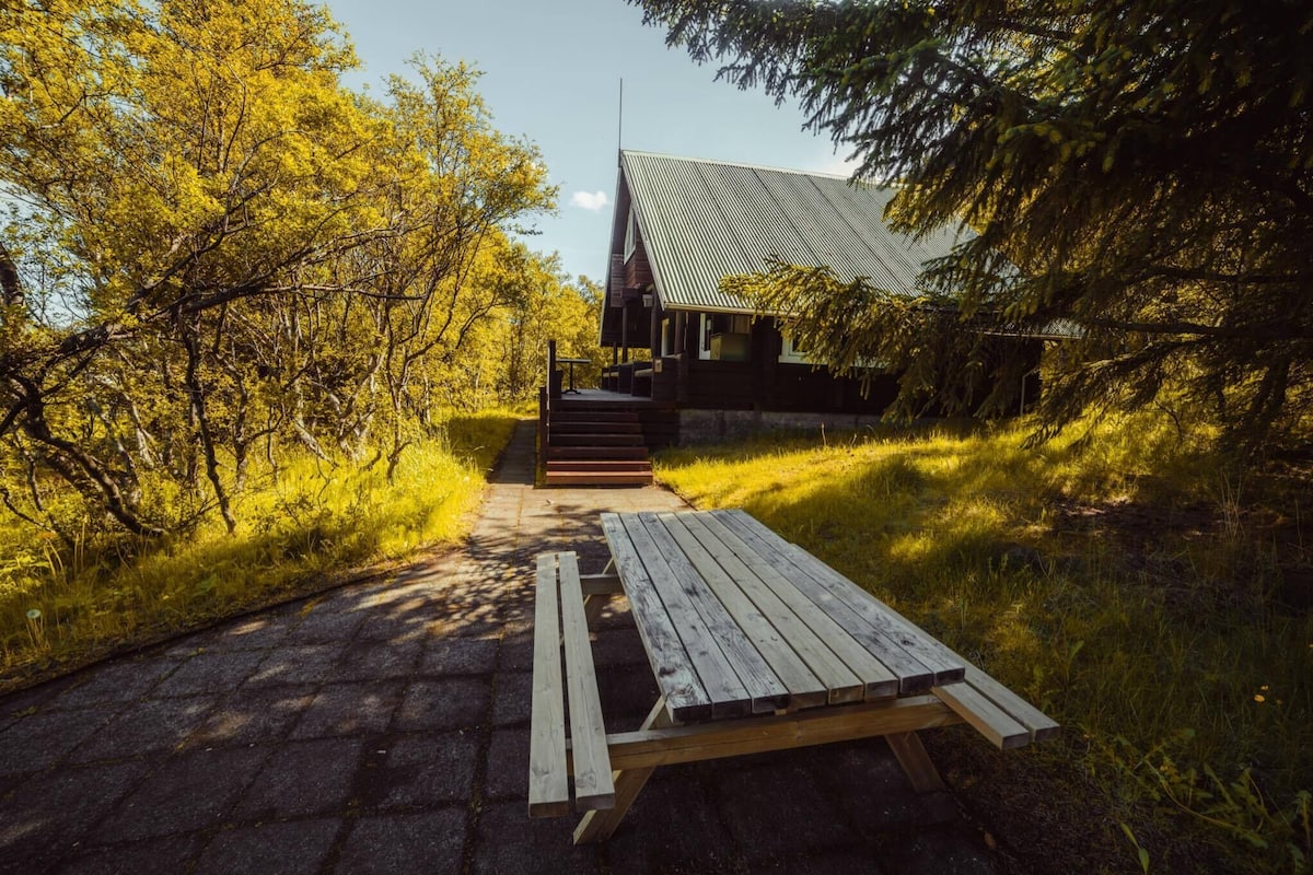 A rustic cabin with a metal roof, surrounded by trees and a paved path leading to a wooden picnic table.