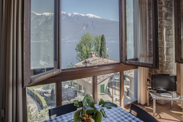 Studio (Kumquat) | View from room