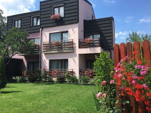 Exterior detail - Pensiunea Andy (Brasov)