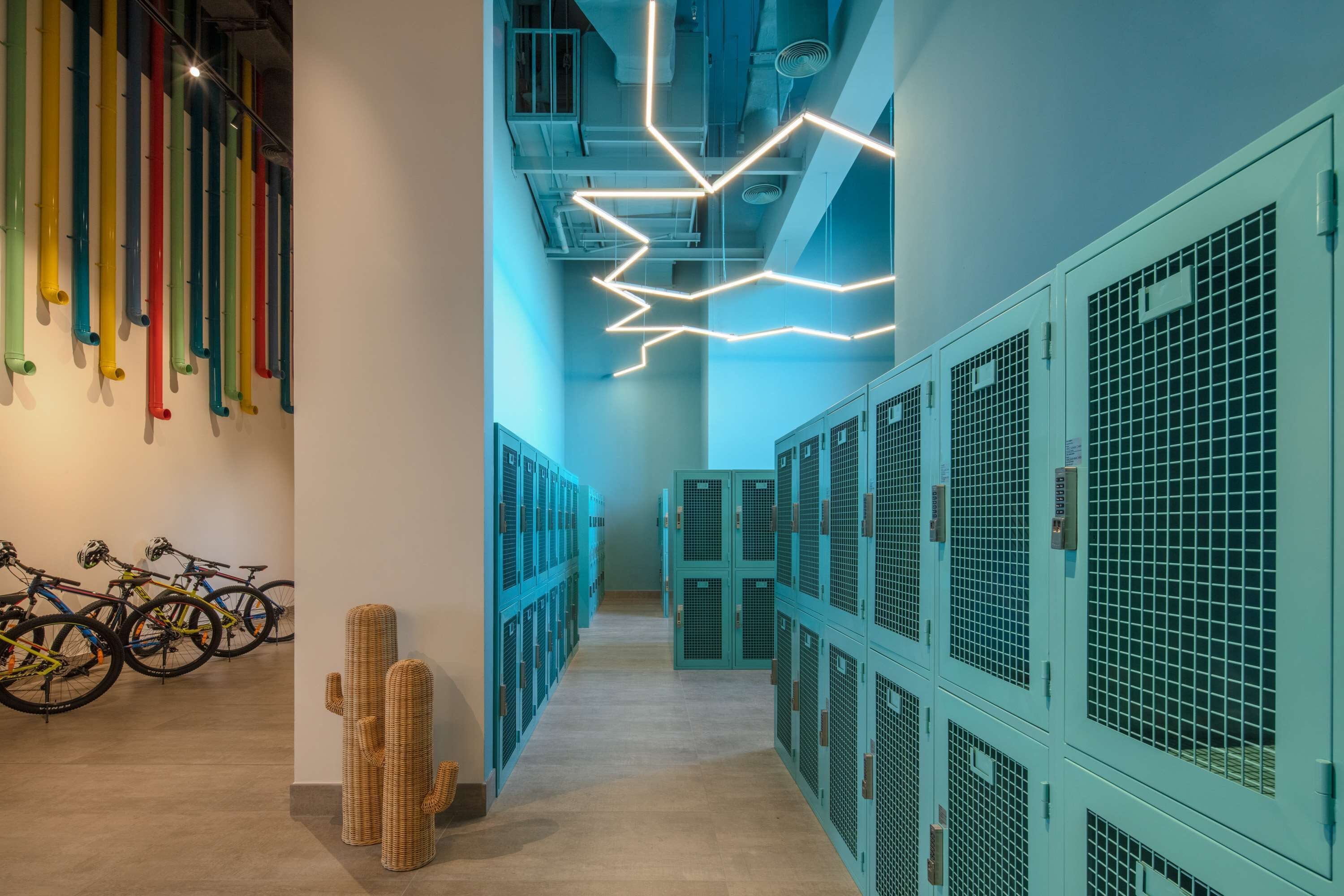 Foto - Rove At The Park