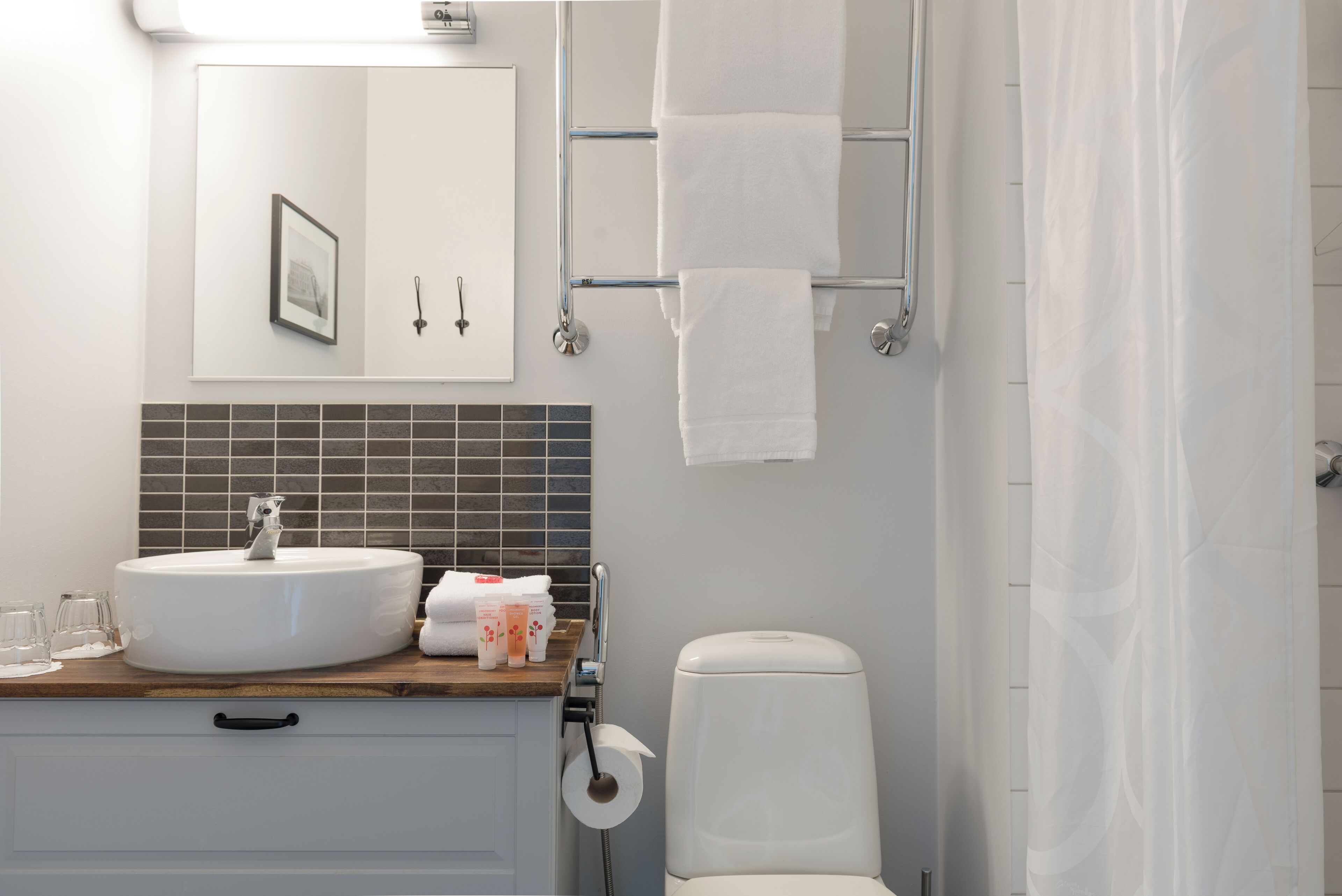 suite | bathroom | shower, free toiletries, hair dryer, bidet