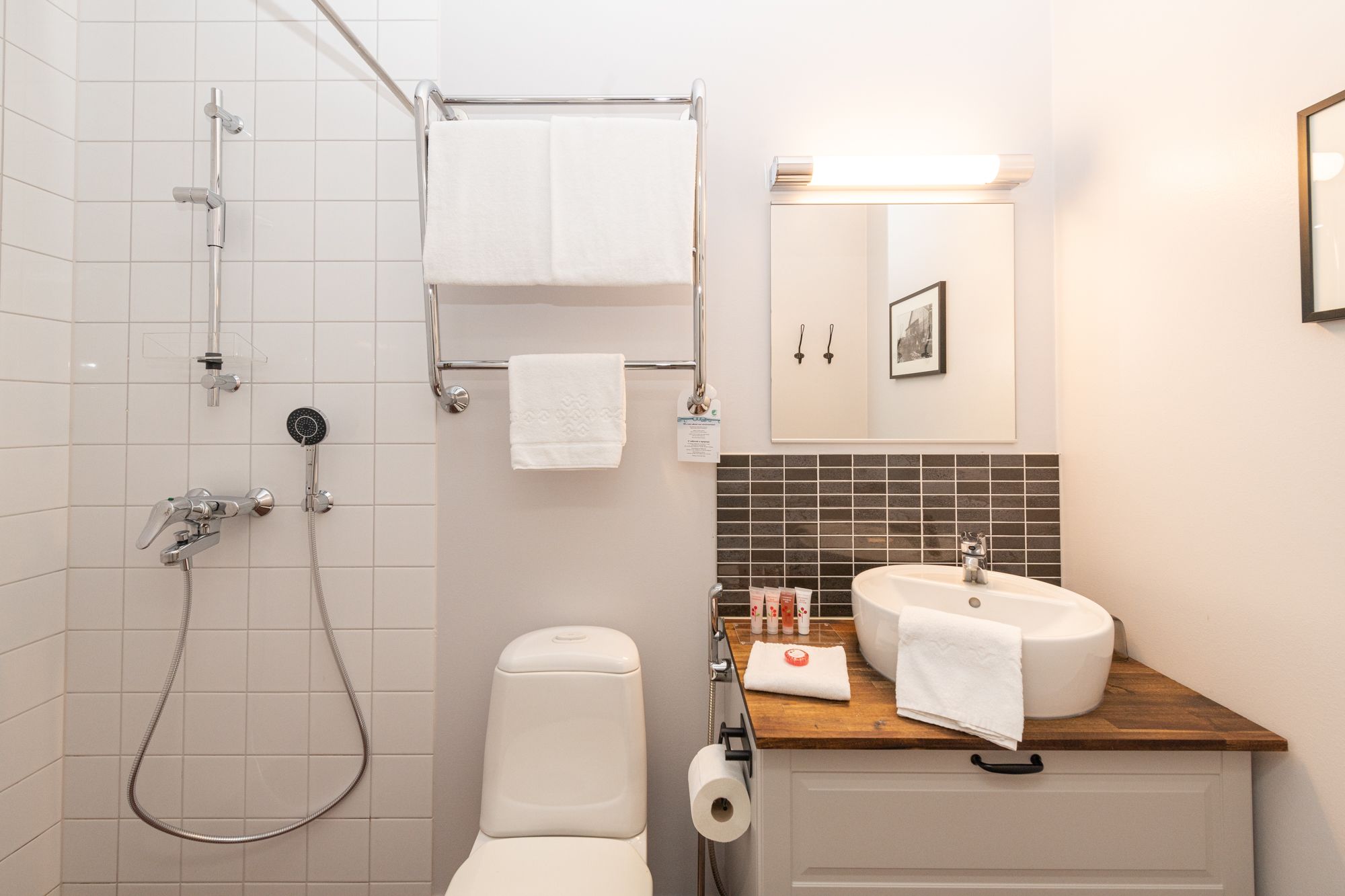 shower, free toiletries, hair dryer, bidet