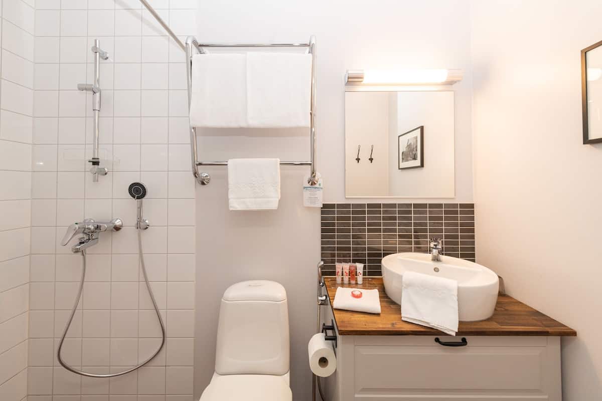 shower, free toiletries, hair dryer, bidet