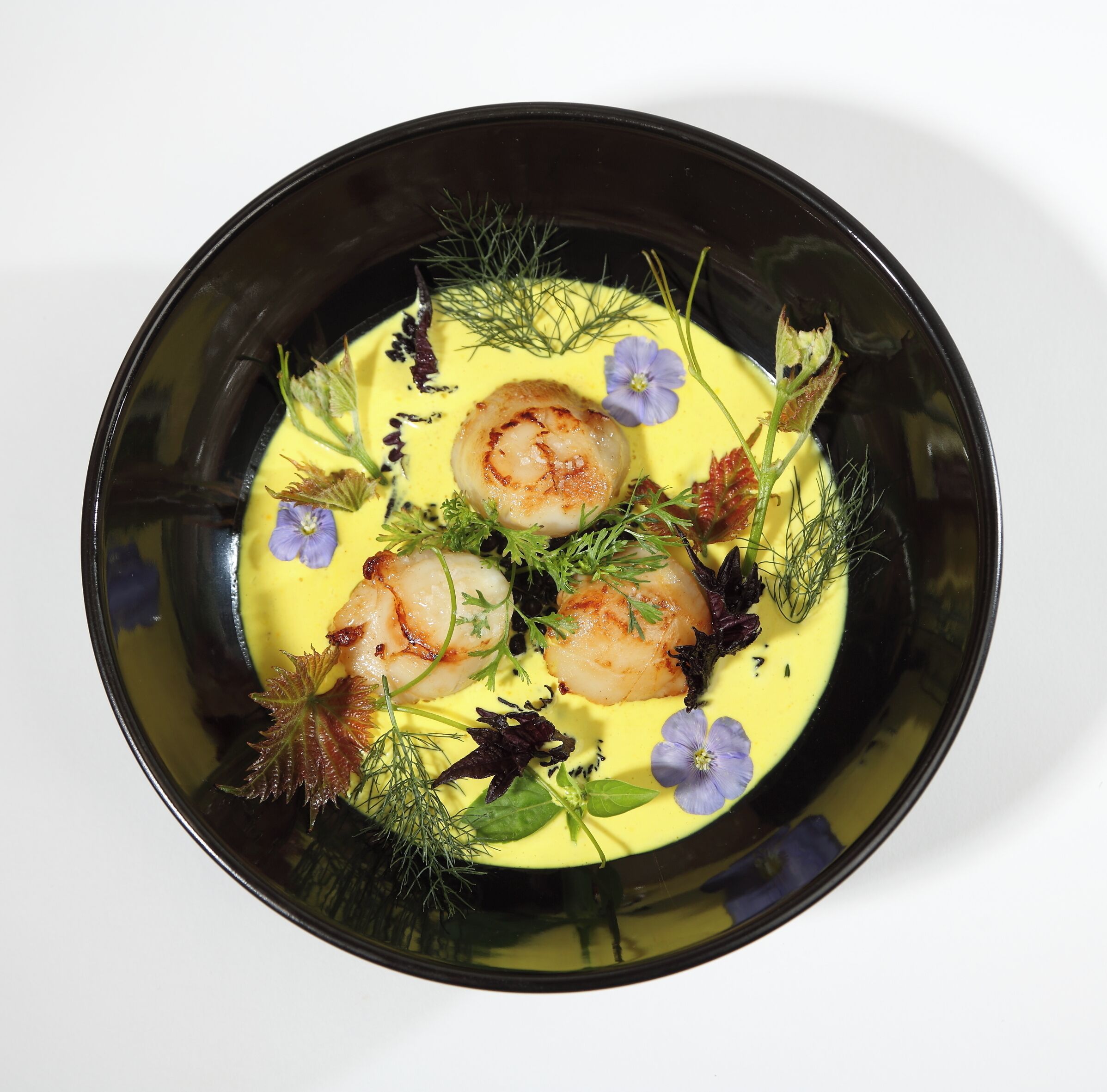 A bowl of food with seared scallops, garnished with herbs and edible flowers.