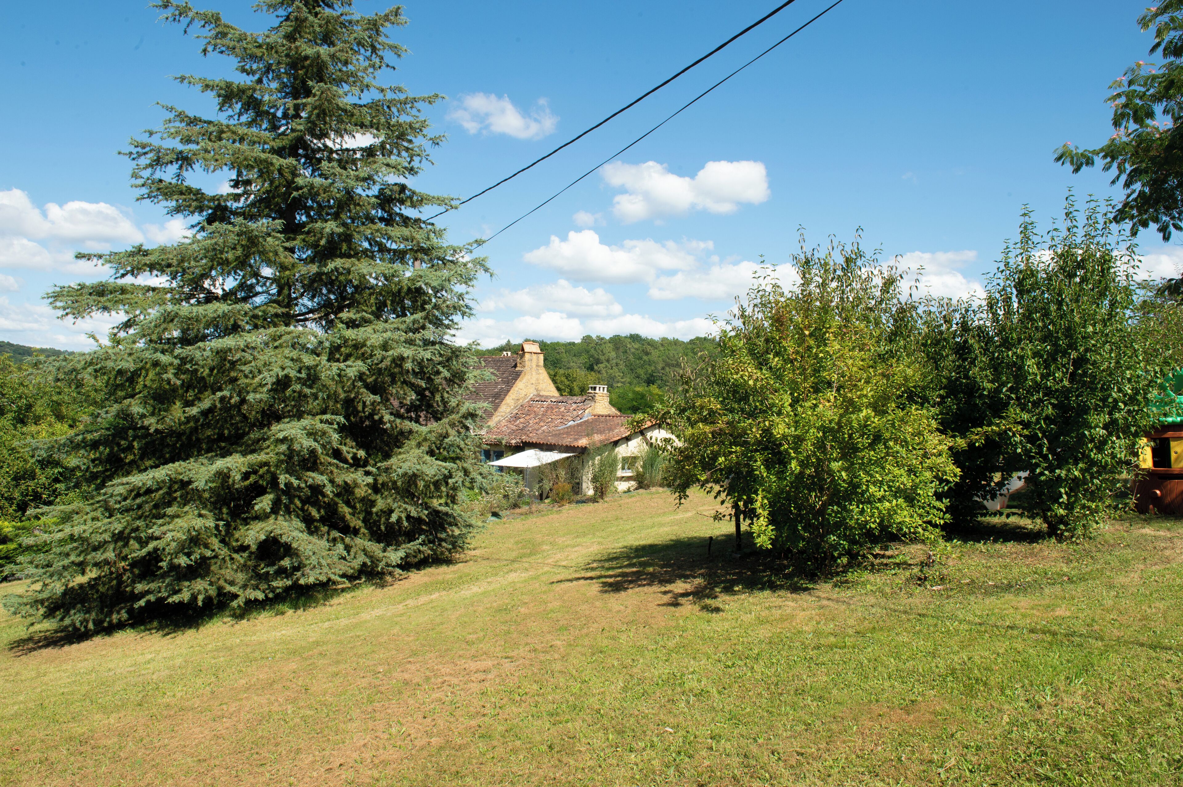Une maison de campagne avec un toit de chaume, entourée d’arbres et d’un champ herbeux.