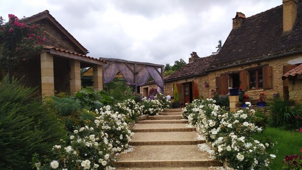 A stone staircase leading to a building with a tiled roof, surrounded by white flowering plants and greenery. - Lo Gorissado - La Ferme du Glandier (Saint-Andre-d'Allas)