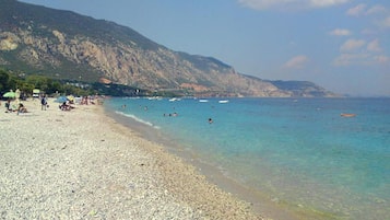 Pantai di sekitar, kursi berjemur, dan payung pantai