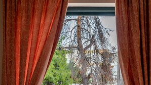 A balcony with wicker chairs and a table, overlooking a tree and a building. - J Studios (Megara)