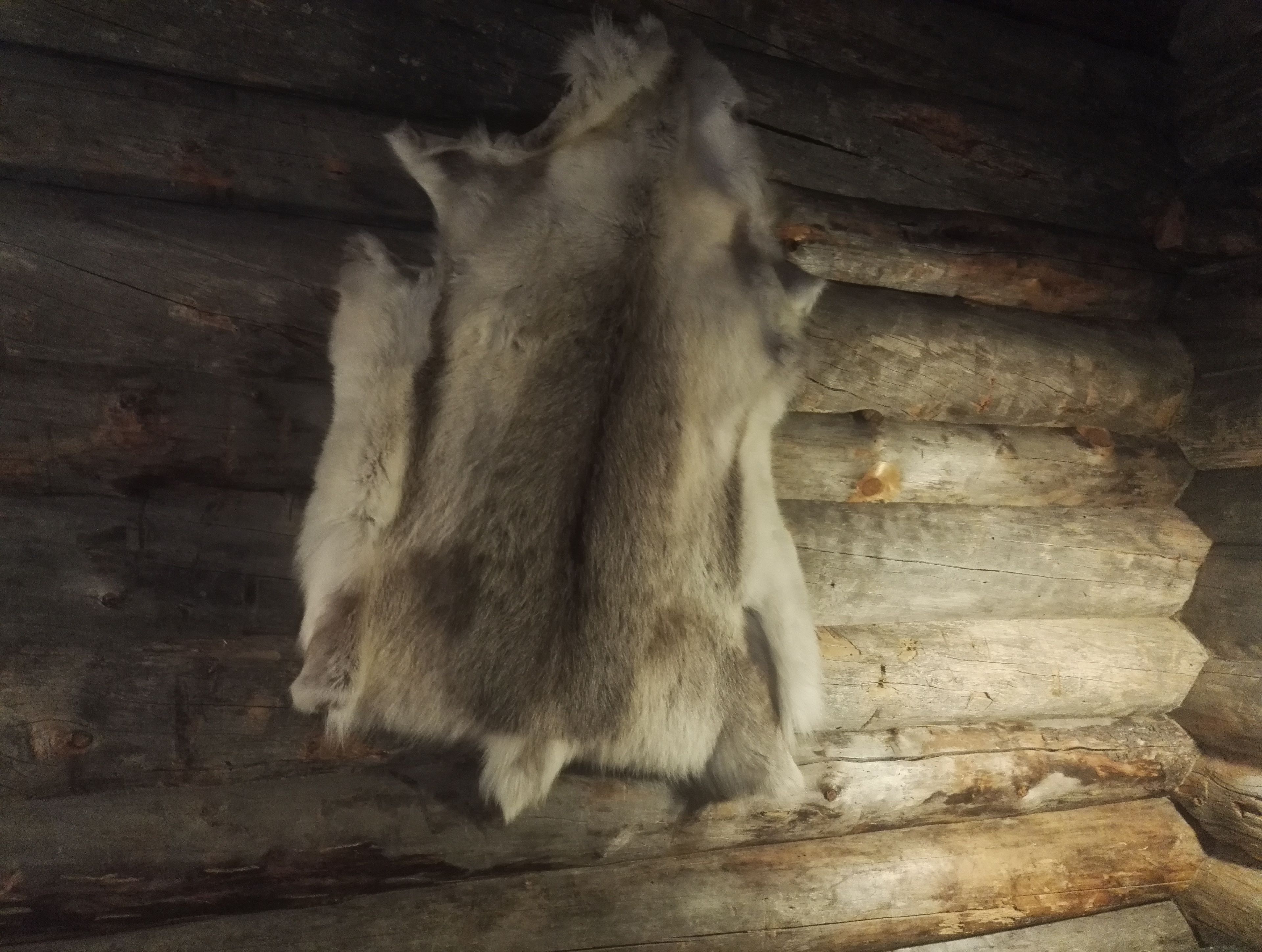 A fur coat hanging on a wooden log wall.