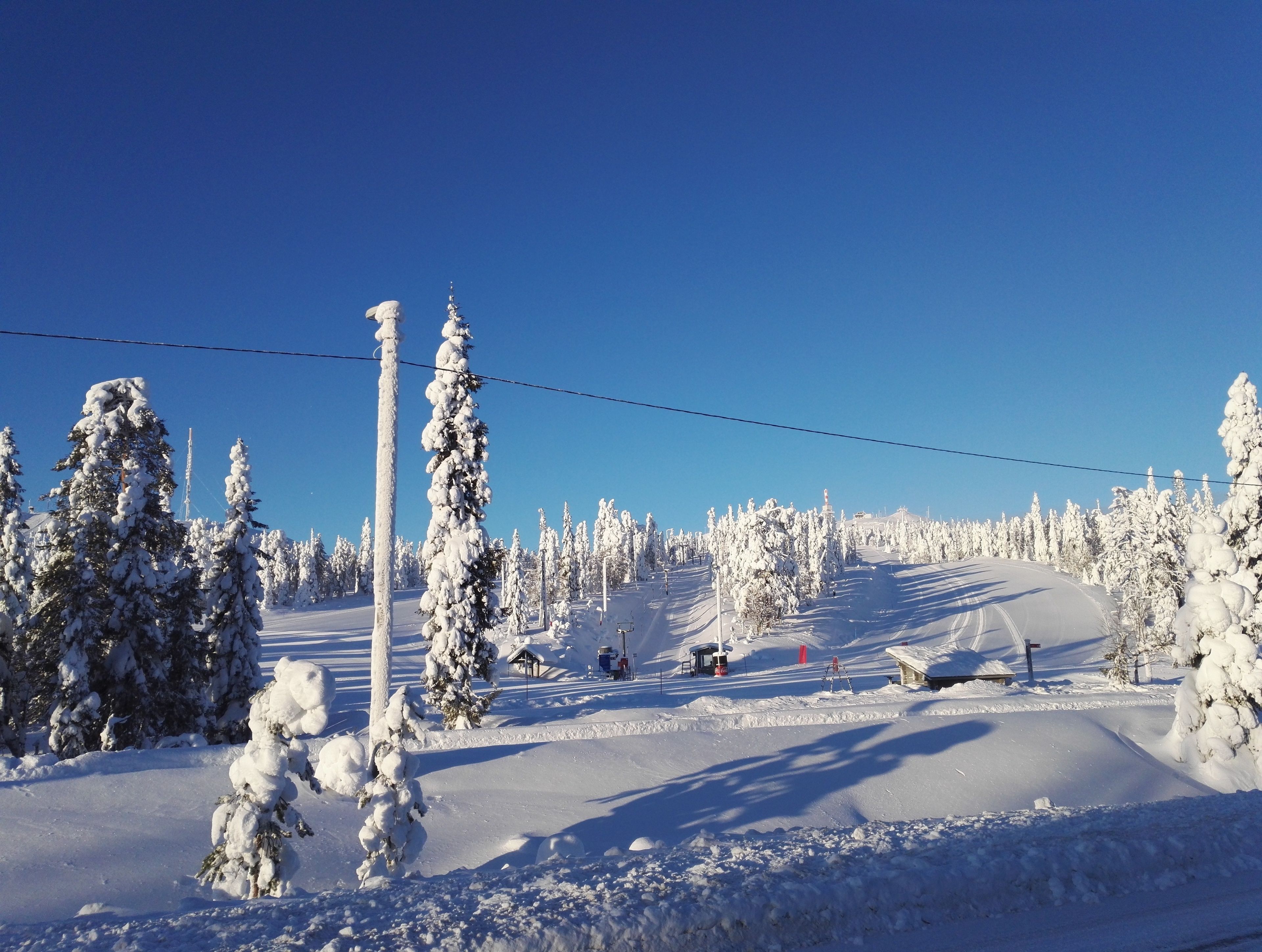 A snowy ski slope with trees and a clear blue sky.