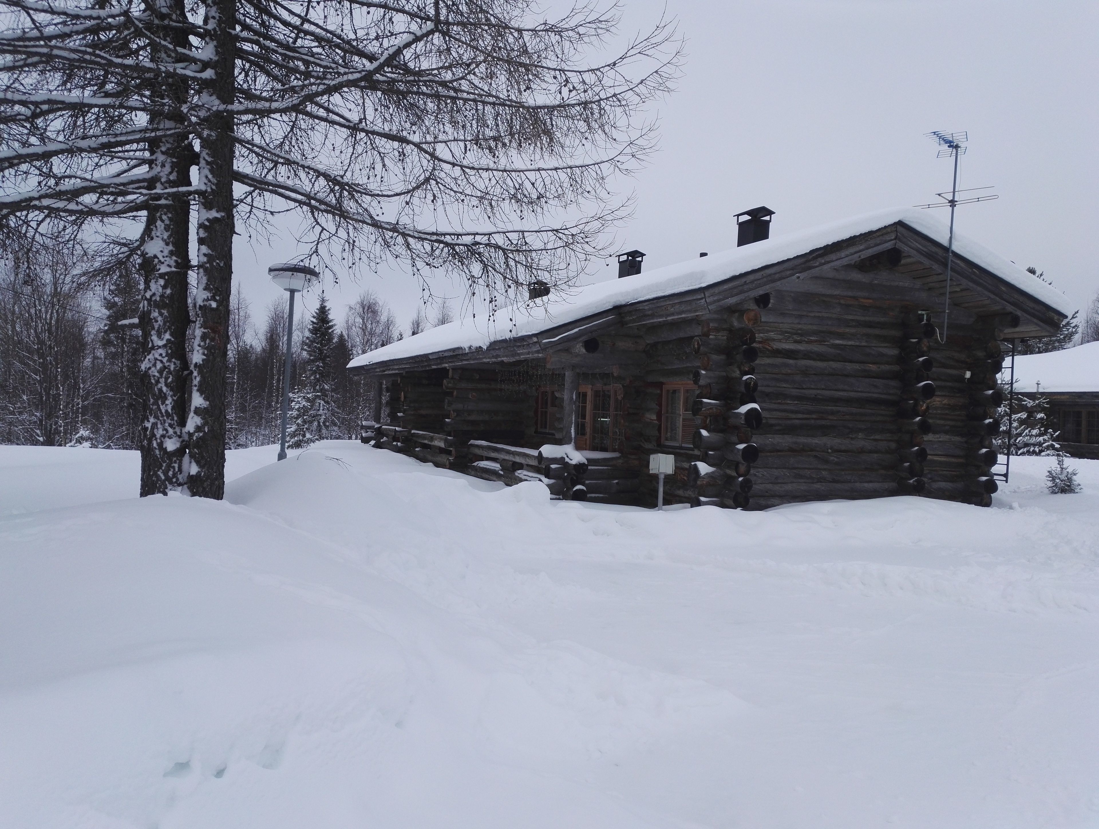 Una cabaña de troncos rodeada de árboles cubiertos de nieve.