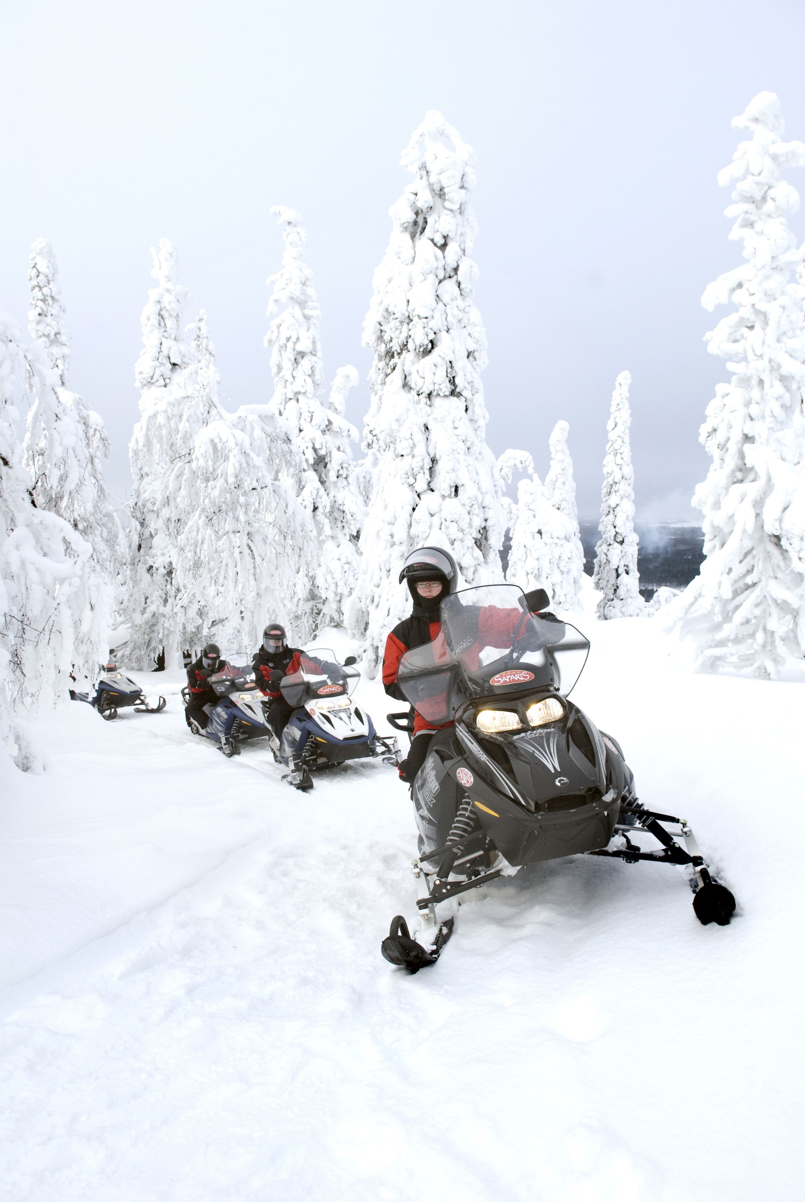 Un grupo de motos de nieve en un bosque nevado.