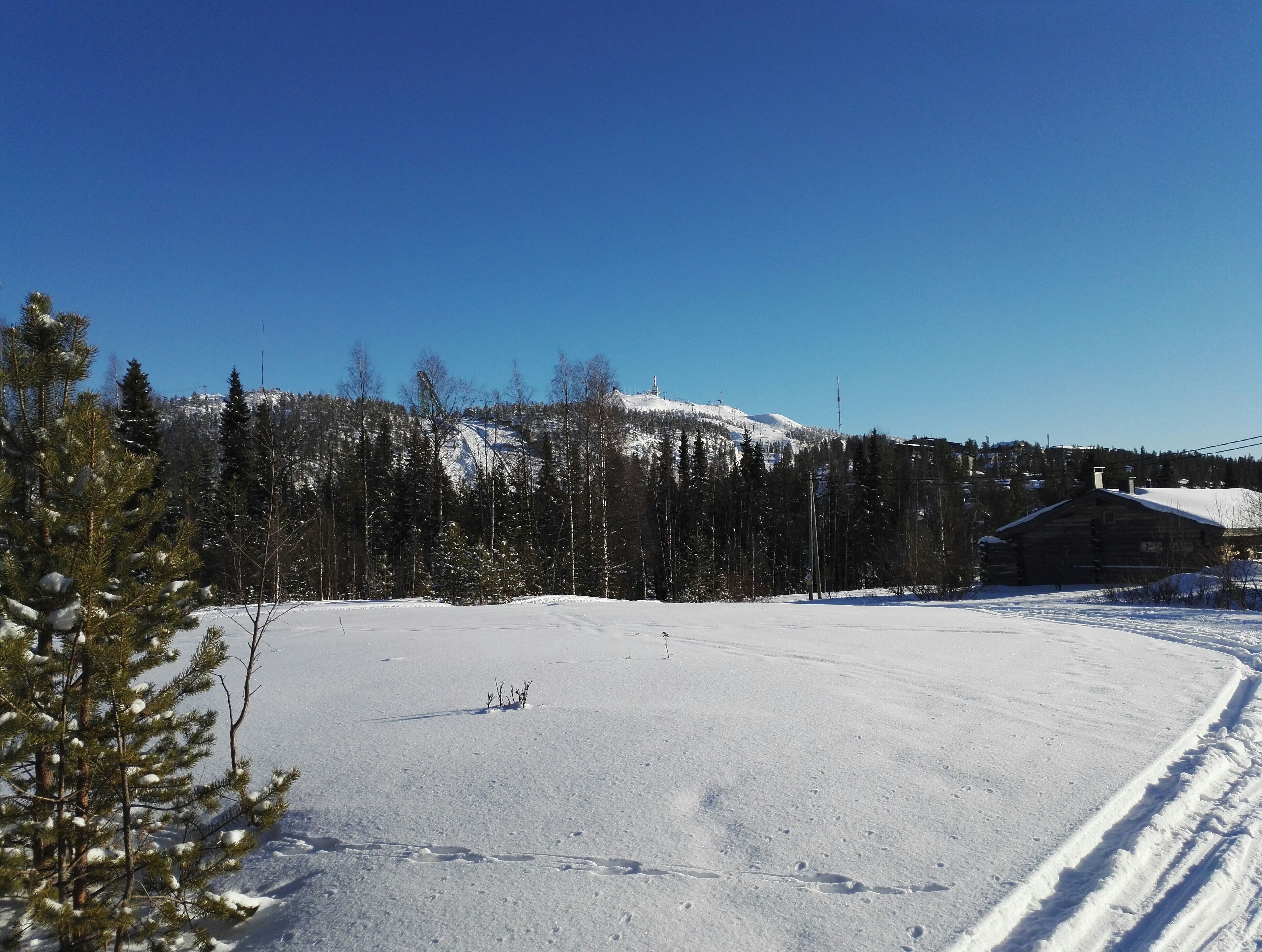 庭園景