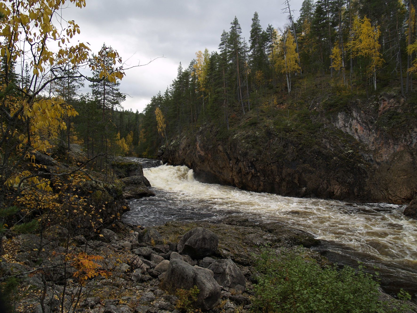 A river flowing through a forested area with rocky terrain and autumn-colored trees.