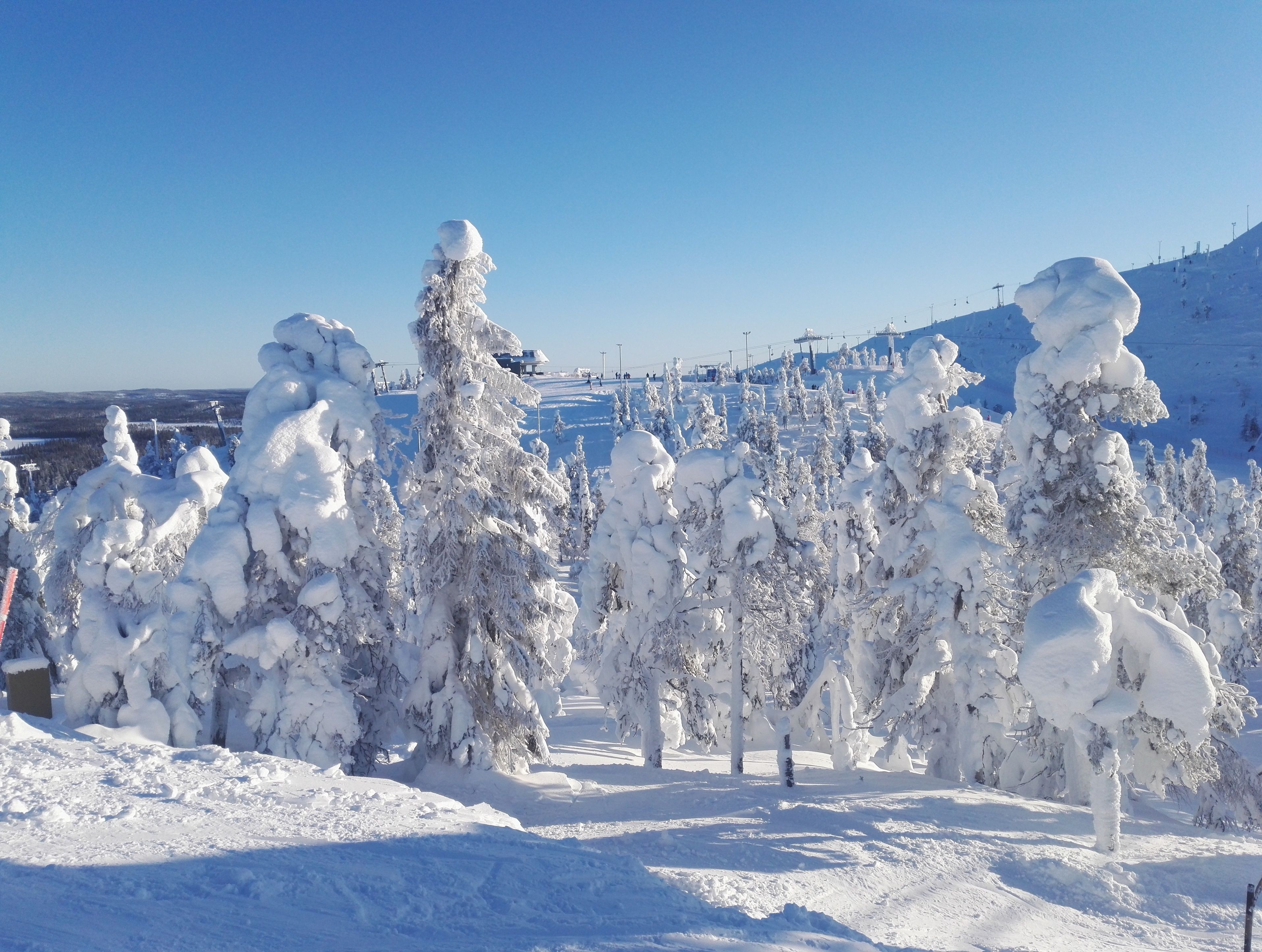 Eine verschneite Landschaft mit schneebedeckten Bäumen und blauem Himmel.