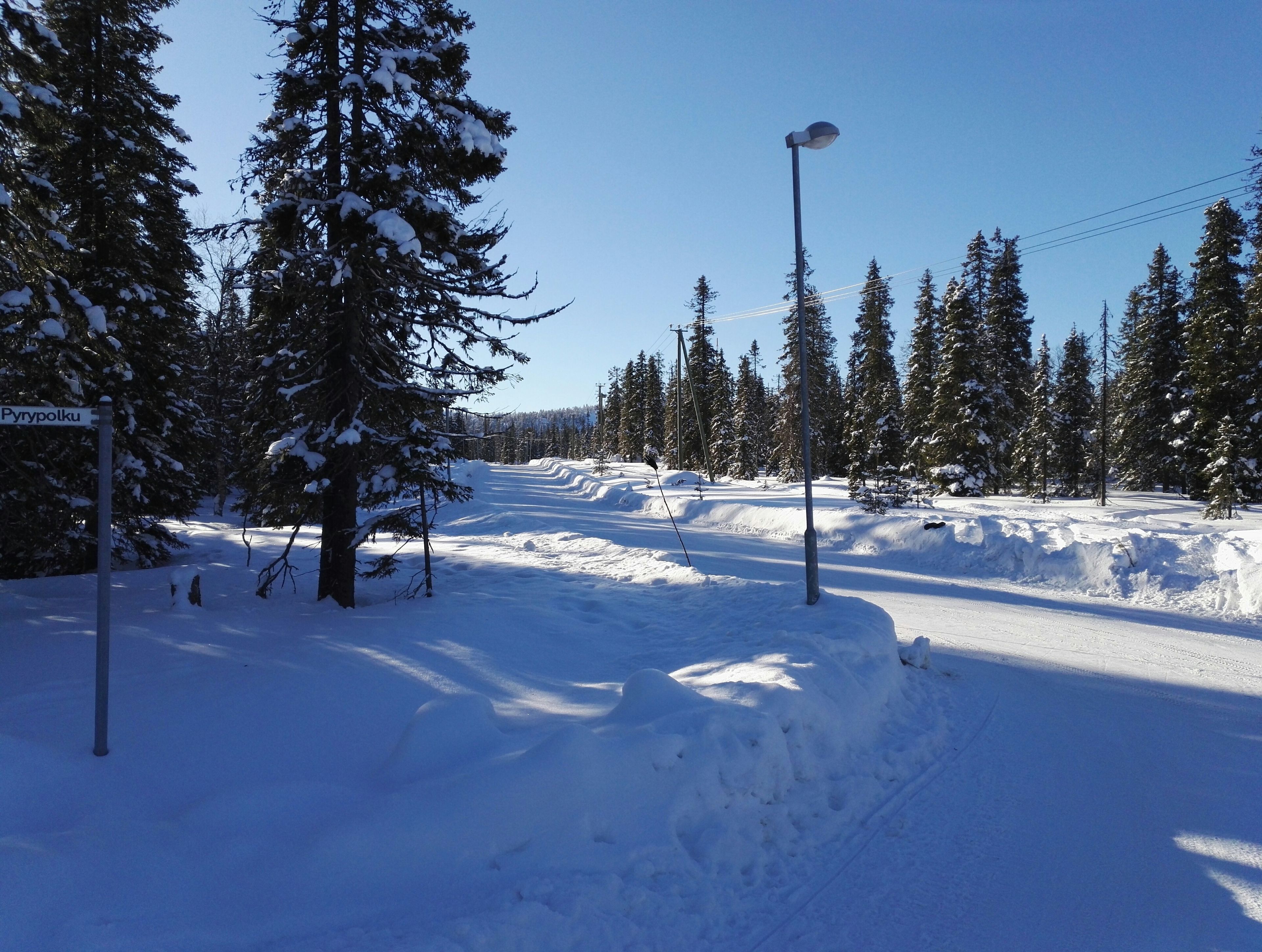 A snowy landscape with a road, trees, and a street lamp.