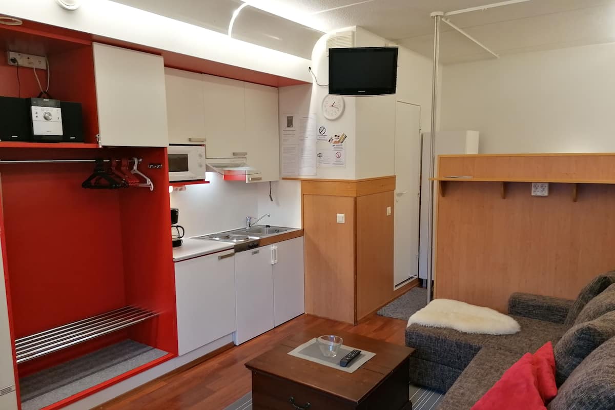Un espace de vie compact comprenant un coin cuisine, un canapé et un téléviseur.