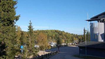 A rural road leading to a building with a silo, surrounded by trees and a clear sky.