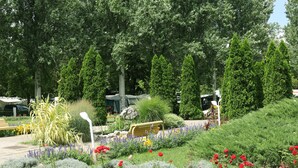Een aangelegde tuin met diverse planten en bloemen, een houten bankje en een witte lantaarnpaal.