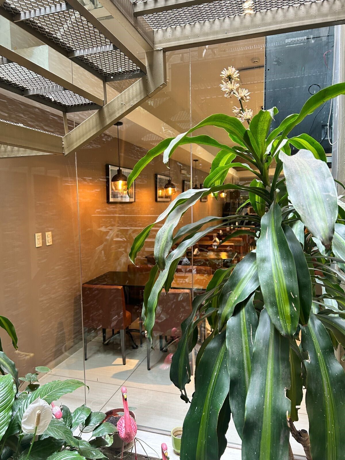 Foto - Hotel Everest