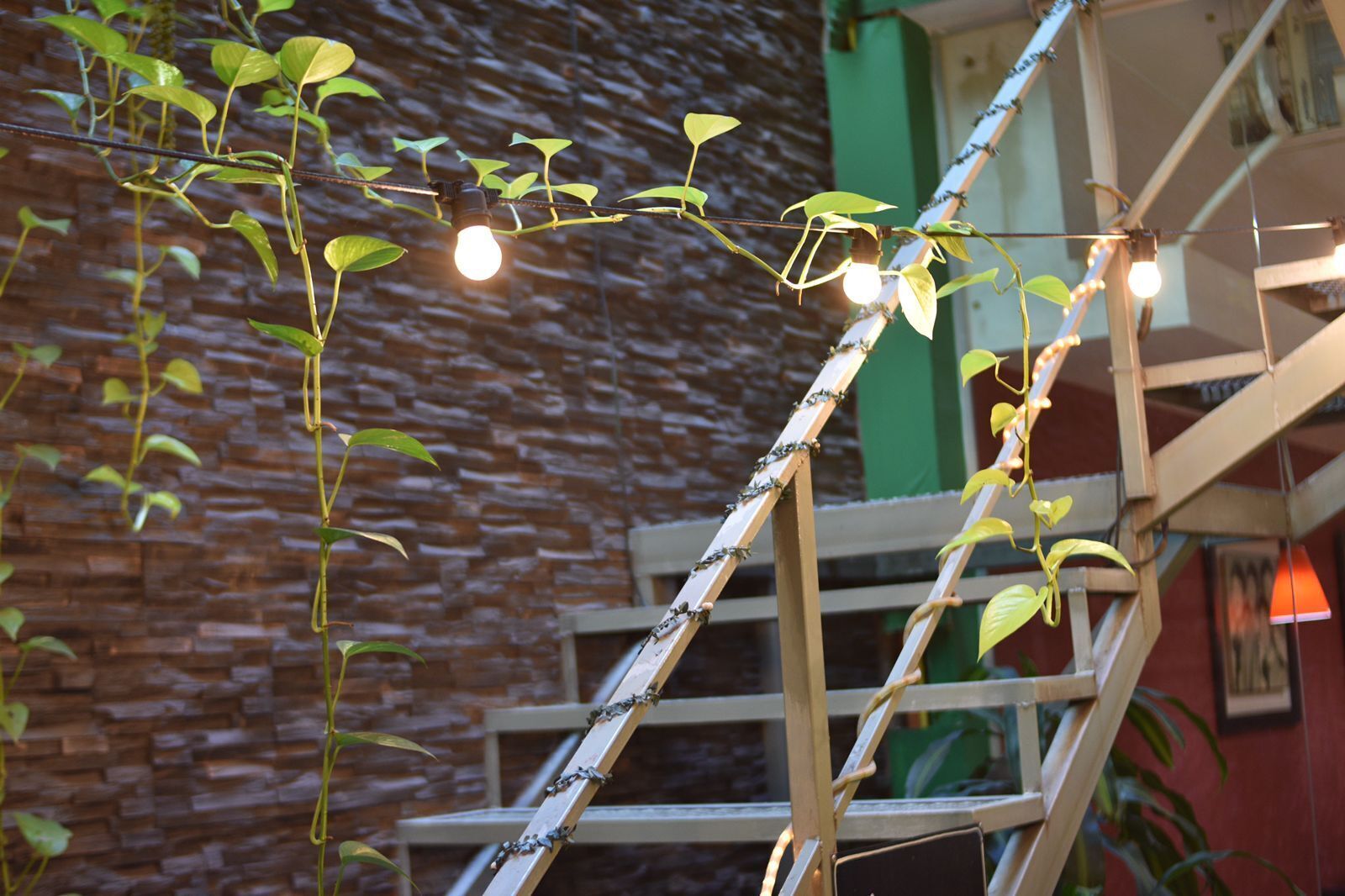 Foto - Hotel Everest