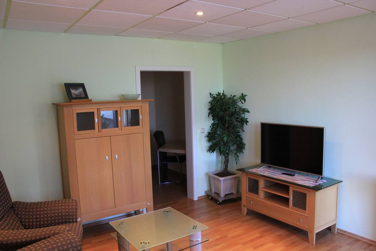 Una sala de estar con sofá, una mesa de centro de vidrio, un mueble de madera, un televisor sobre un soporte y una planta en maceta.