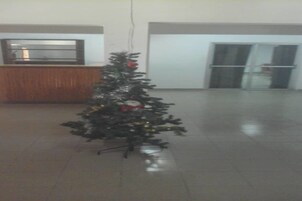 Un pequeño árbol de Navidad en un vestíbulo amplio y bien iluminado, con una mesa de recepción y una puerta de cristal.