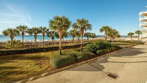 A paved pathway lined with palm trees and bushes, leading to a beach with a clear blue sky.