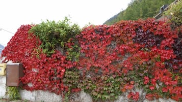 Estacionamiento gratis