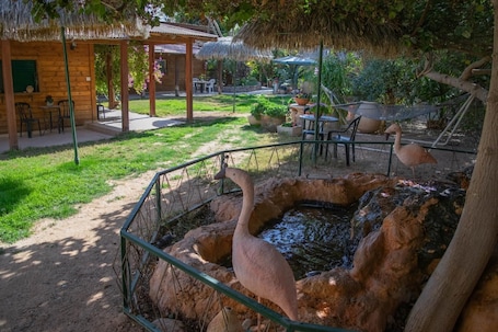 Property grounds. Idan Lodge In The Arava