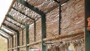 A greenhouse with hanging flower baskets and potted plants against a backdrop of straw bales. - Idan Lodge In The Arava (HaArava HaTikhona)