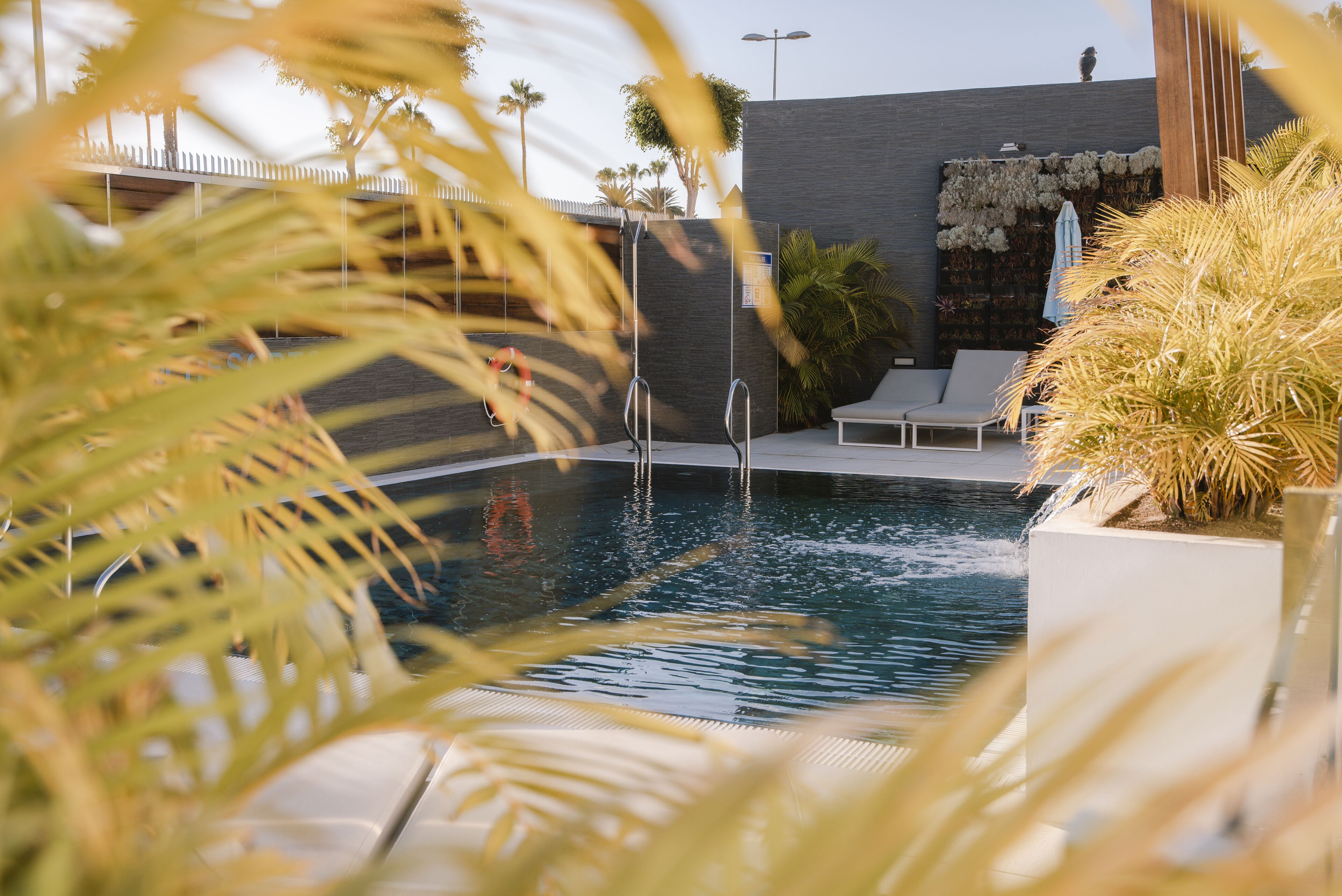 outdoor pool, open 10:00 am to 7:00 pm, pool loungers